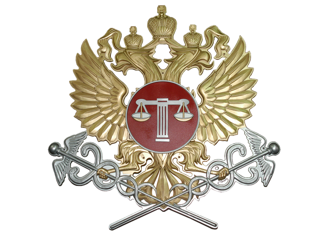 ИБП в суд общей юрисдикции Нижнего Новгорода